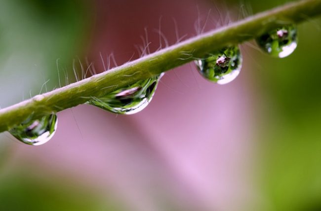 Fotografia y meditacion Cesar Ceron en ANDANAfoto 1