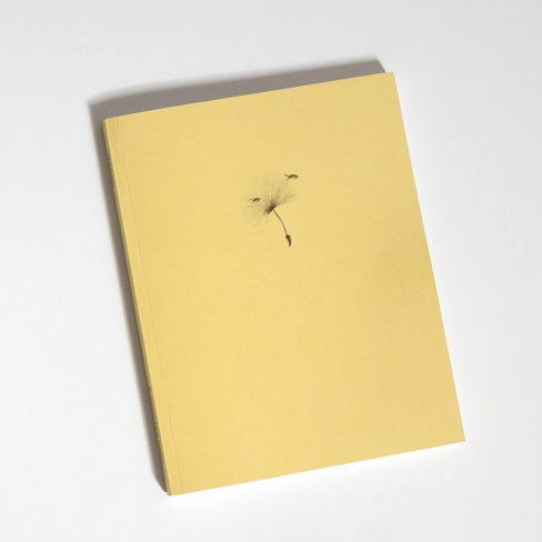 Habitario Paco Llop Andanafoto