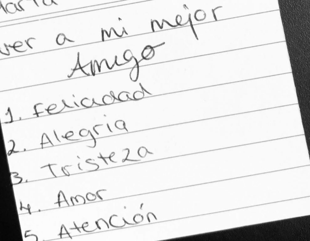 WhatsApp Image 2019-08-27 at 10.38.20 (1)