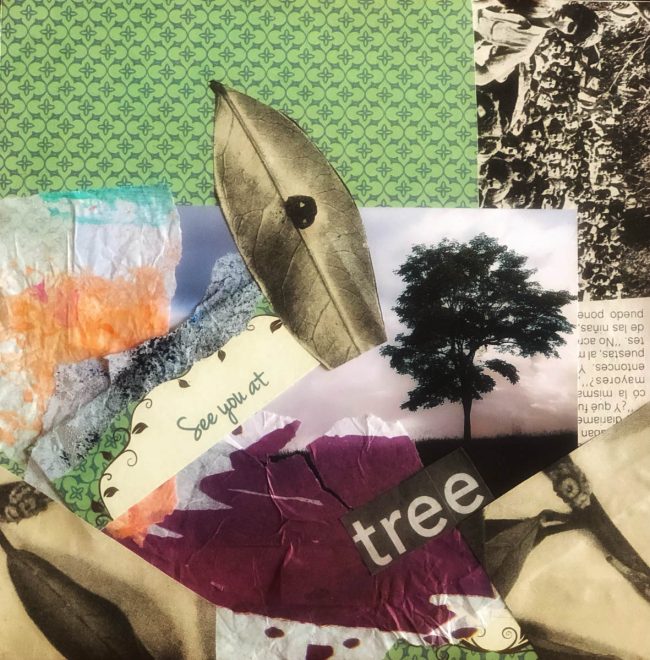 Mariela Zaltz-FOTOGRAFÍA CREATIVA-3