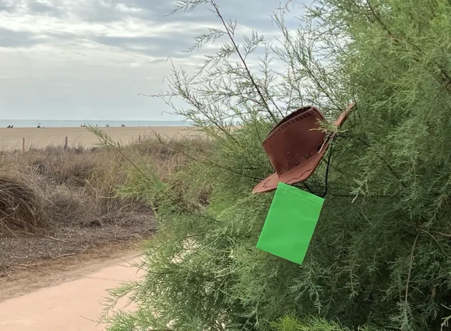 Platja de l'Arbre del Gos - Pinedo