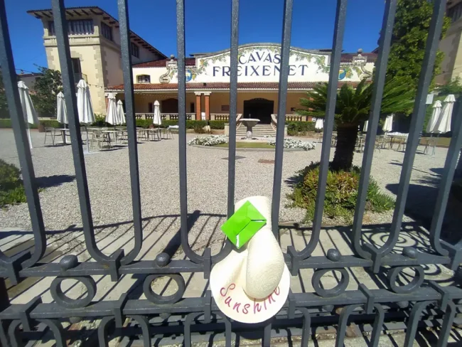 Sant Sadurní d' Anoia-Freixenet - @a_n_d_r_e_a_bcn