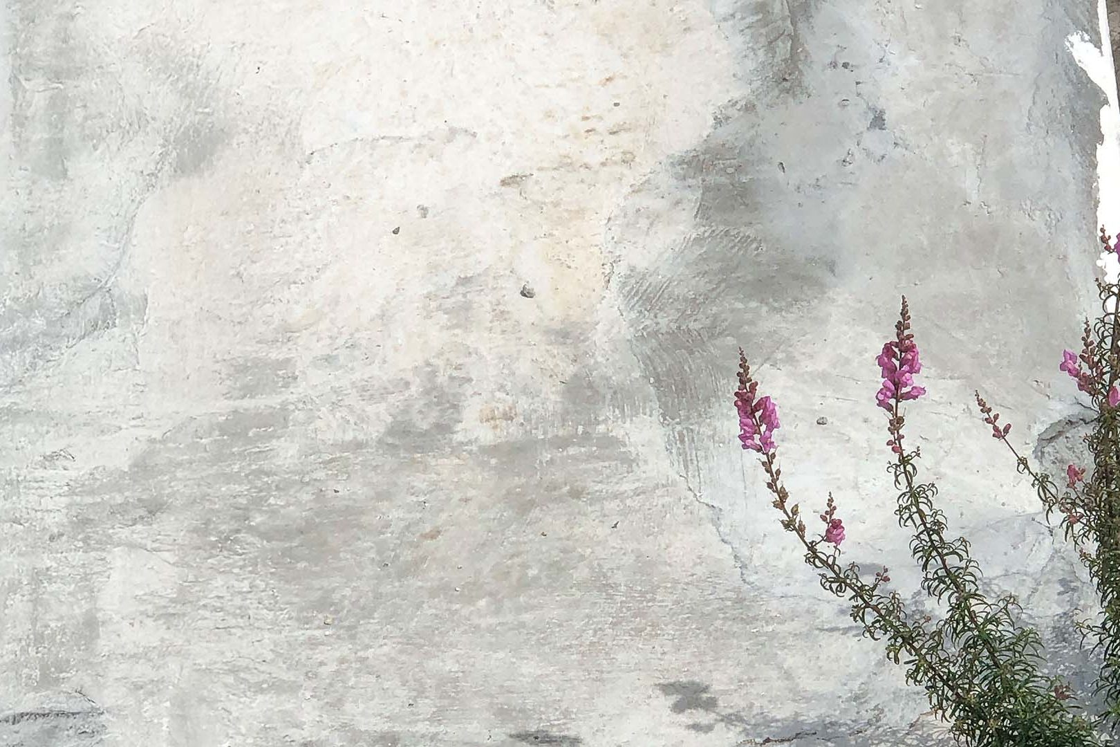 Fotografía y Mindfulness slider
