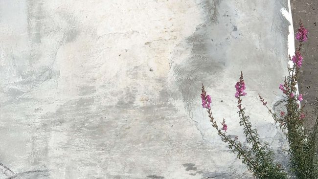 Fotografía y Mindfulness slider