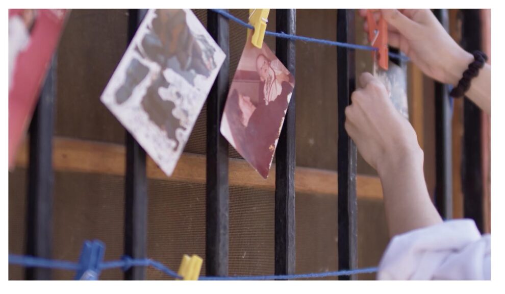 regenerem-album-familiar-2025