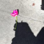 ERES QUELLO QUE MIRAS